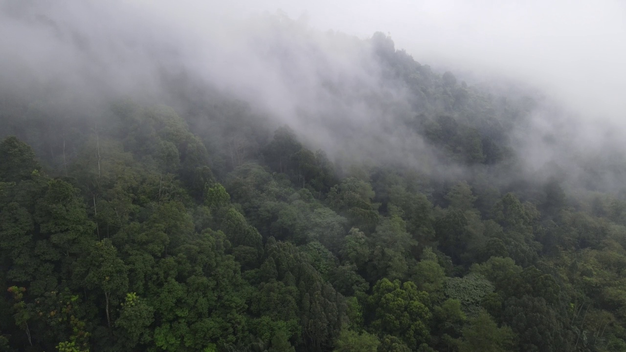 印尼村庄附近雾气蒙蒙的雨林鸟瞰图视频素材