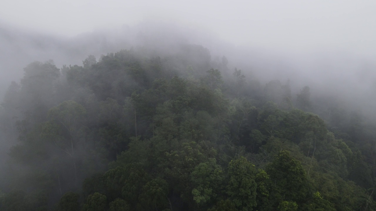 印尼村庄附近雾气蒙蒙的雨林鸟瞰图视频素材