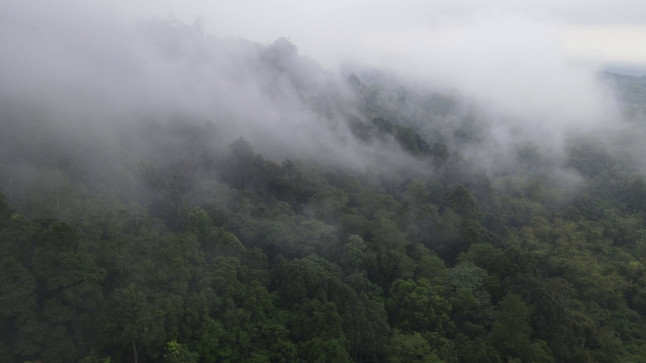 印尼村庄附近雾气蒙蒙的雨林鸟瞰图视频素材