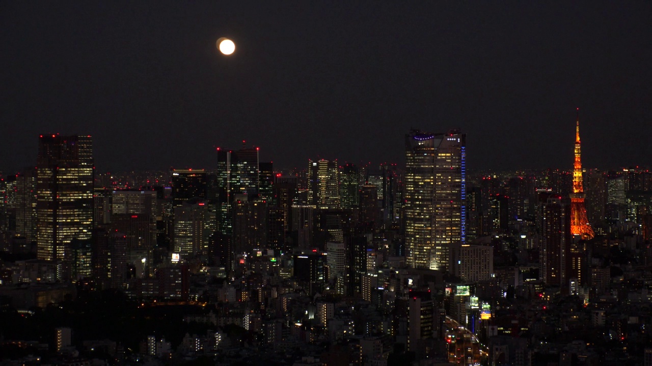 日本东京:东京夜景。视频素材