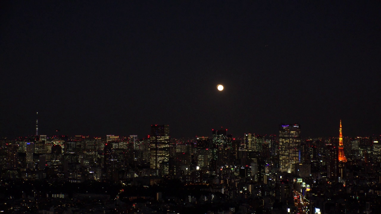 日本东京:东京夜景。视频素材