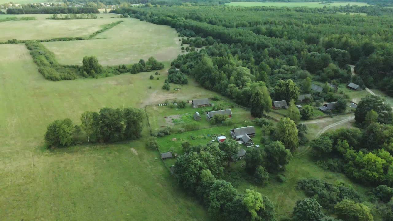 村庄在森林的中央。农村景观。树林中看得见房子的屋顶。航空摄影。视频素材