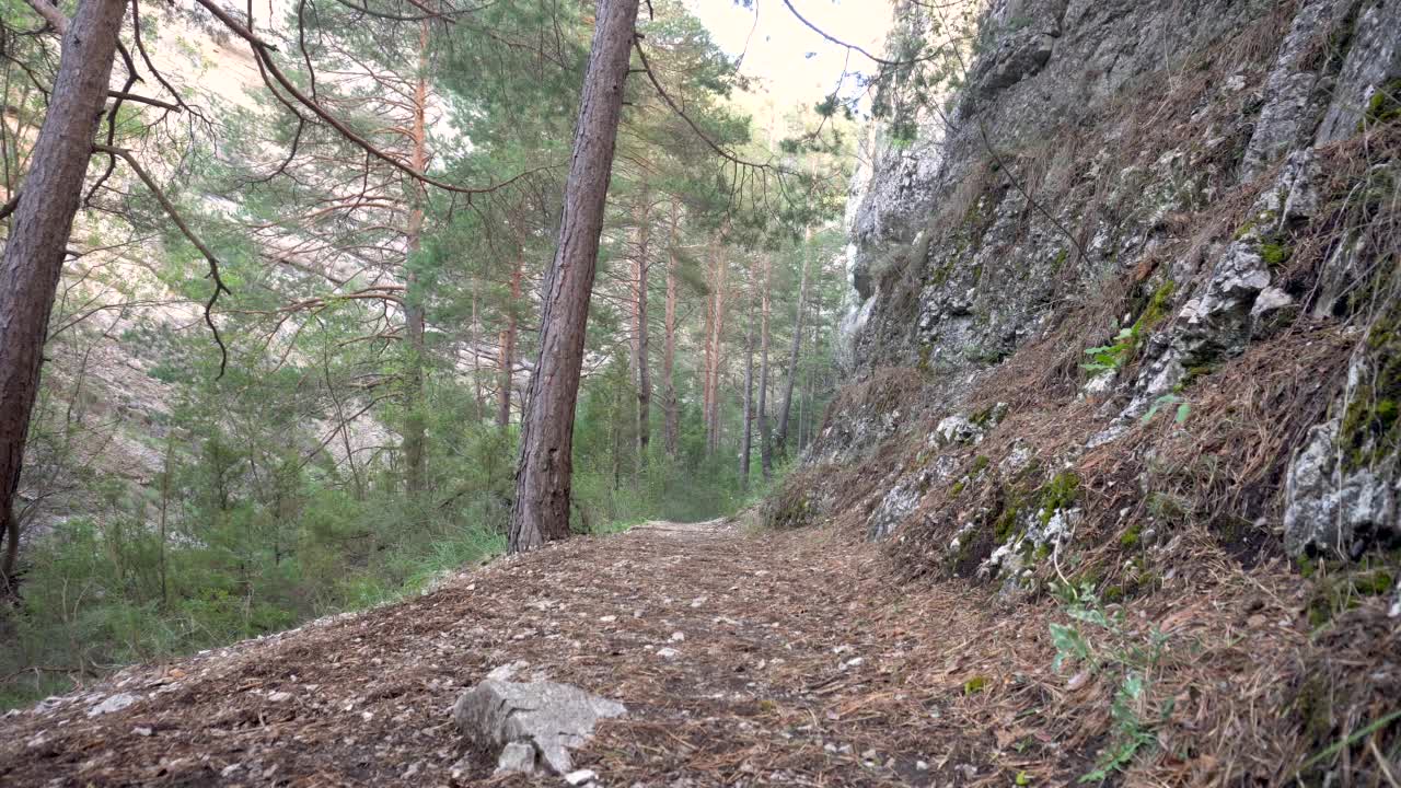 徒步旅行的人的自然后视图视频素材