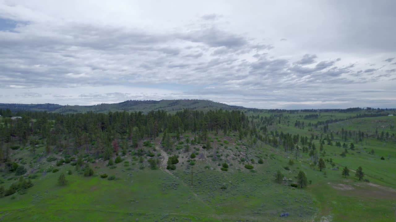 蒙大拿州美丽地方的鸟瞰图。美国的景观，有森林和河流。视频素材