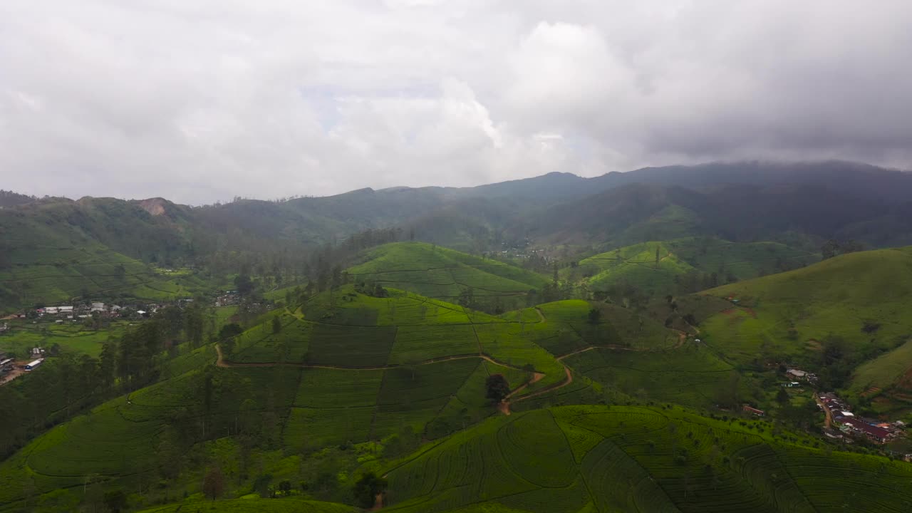 斯里兰卡山区山坡上的茶园。视频素材