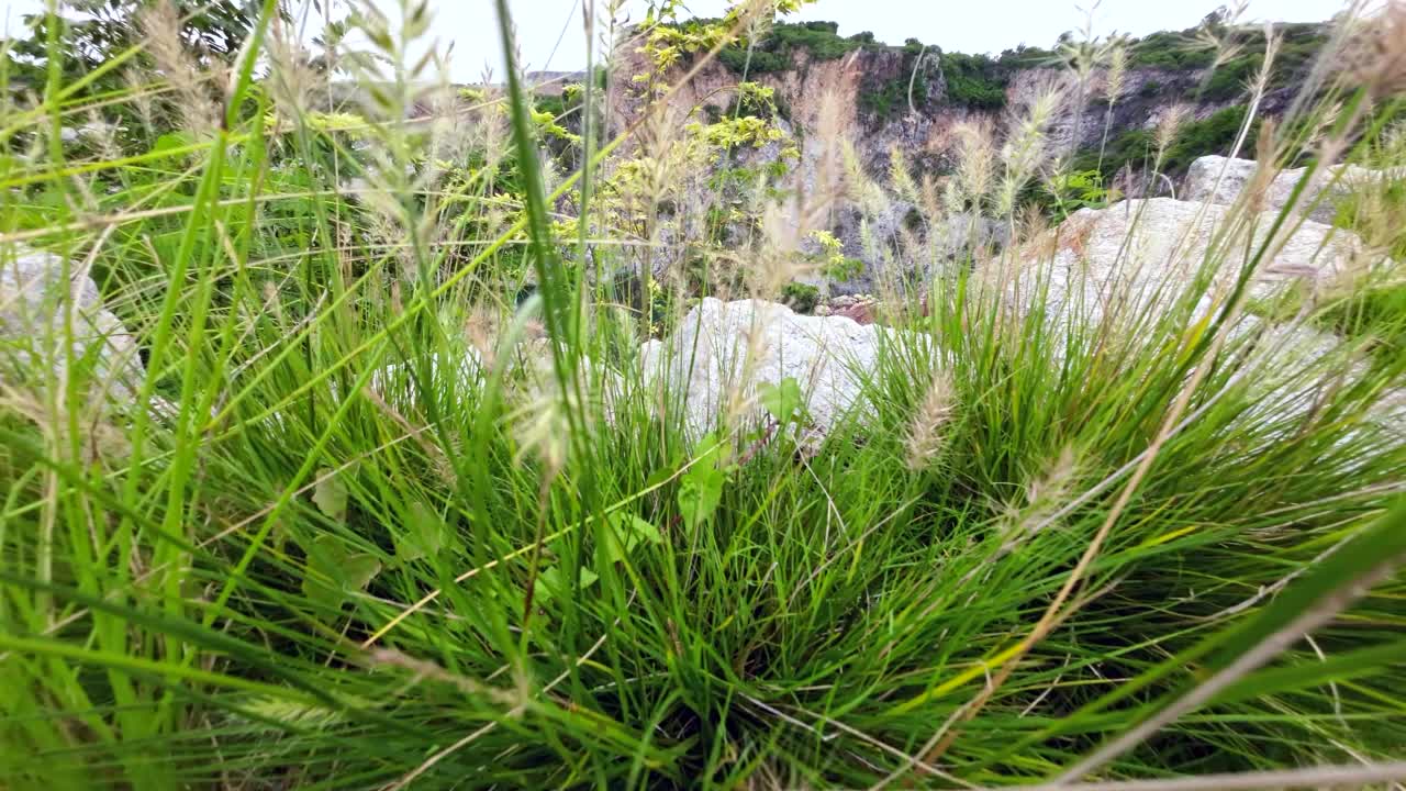 美丽的山景在早晨视频素材