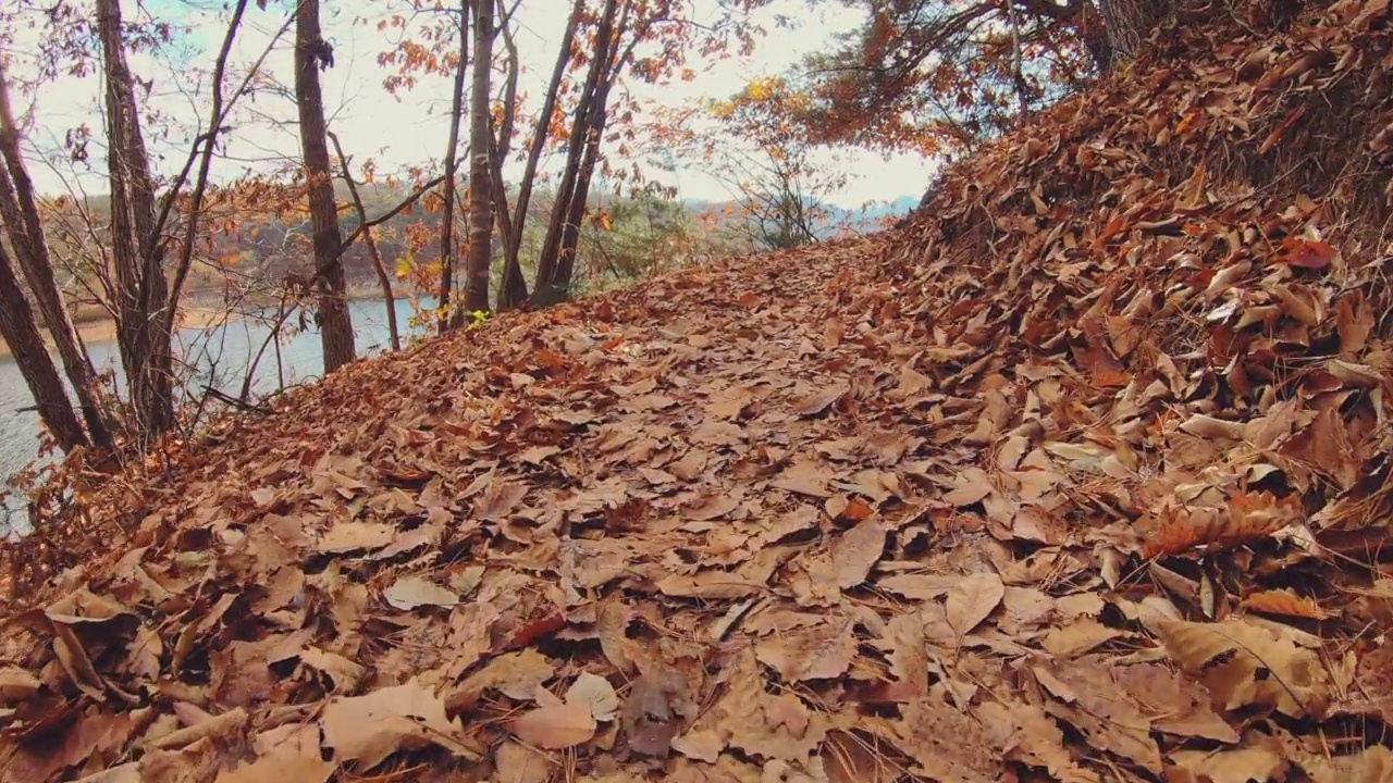 韩国横城郡/江原道的湖泊，Dulle trail和秋天视频素材