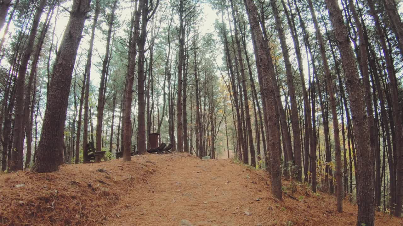 韩国江原道横城郡的Dulle trail和秋天视频素材