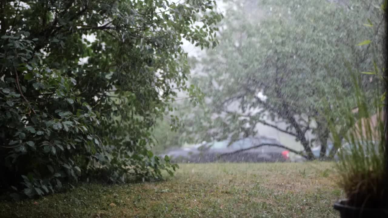 夏日的大雨落在花园的草坪上，树木和灌木在风中摇曳。慢镜头，180帧，没有人视频素材