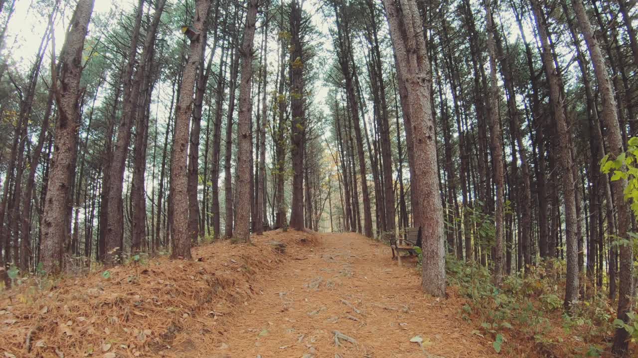 韩国江原道横城郡的Dulle trail和秋天视频素材