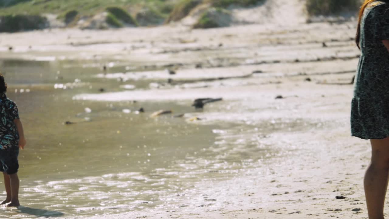 一家人在阳光明媚的海滩上涉水和玩球视频素材