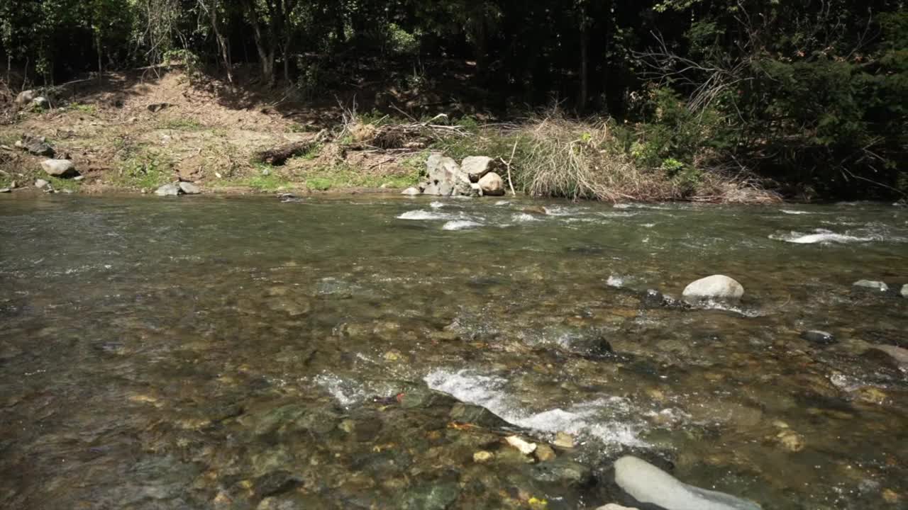 热带森林里的一条小溪，快速地流过石头。自然美概念视频素材