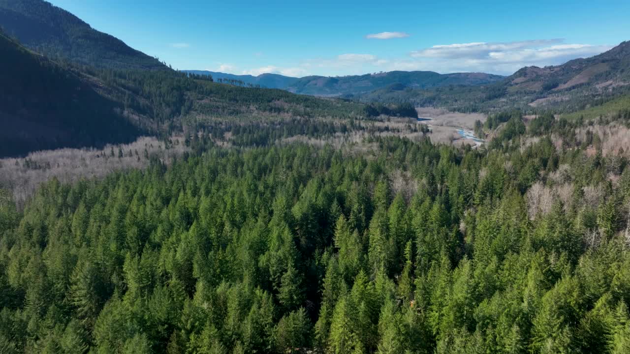 远处的诺克萨克河瓦特科姆县森林在冰川枫树瀑布美国华盛顿视频素材