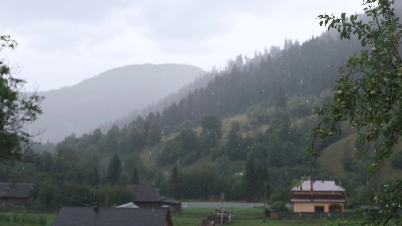 多雨的天气在山村，雾在美丽的秋天森林视频素材