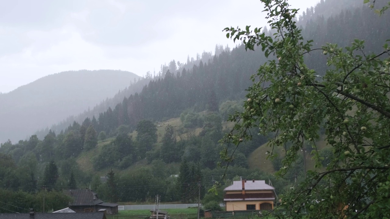 多雨的天气在山村，雾在美丽的秋天森林视频素材