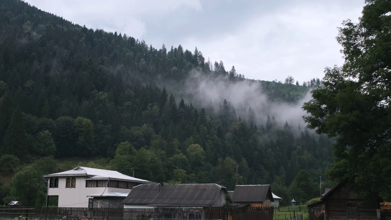 多雨的天气在山村，雾在美丽的秋天森林视频素材