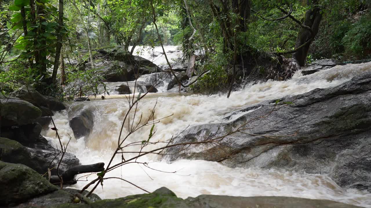 雨季时，大自然从森林中流出溪流。自然背景。视频素材