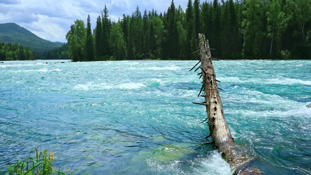 新疆河流自然景观优美视频素材