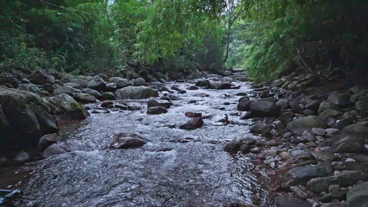 森林里的小溪视频素材