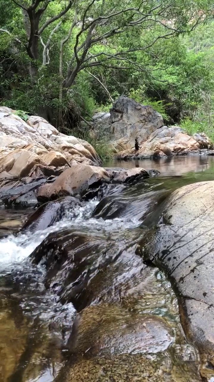 山上的河水从岩石中流过。风景优美的自然背景。水流过岩石。垂直视频。视频下载