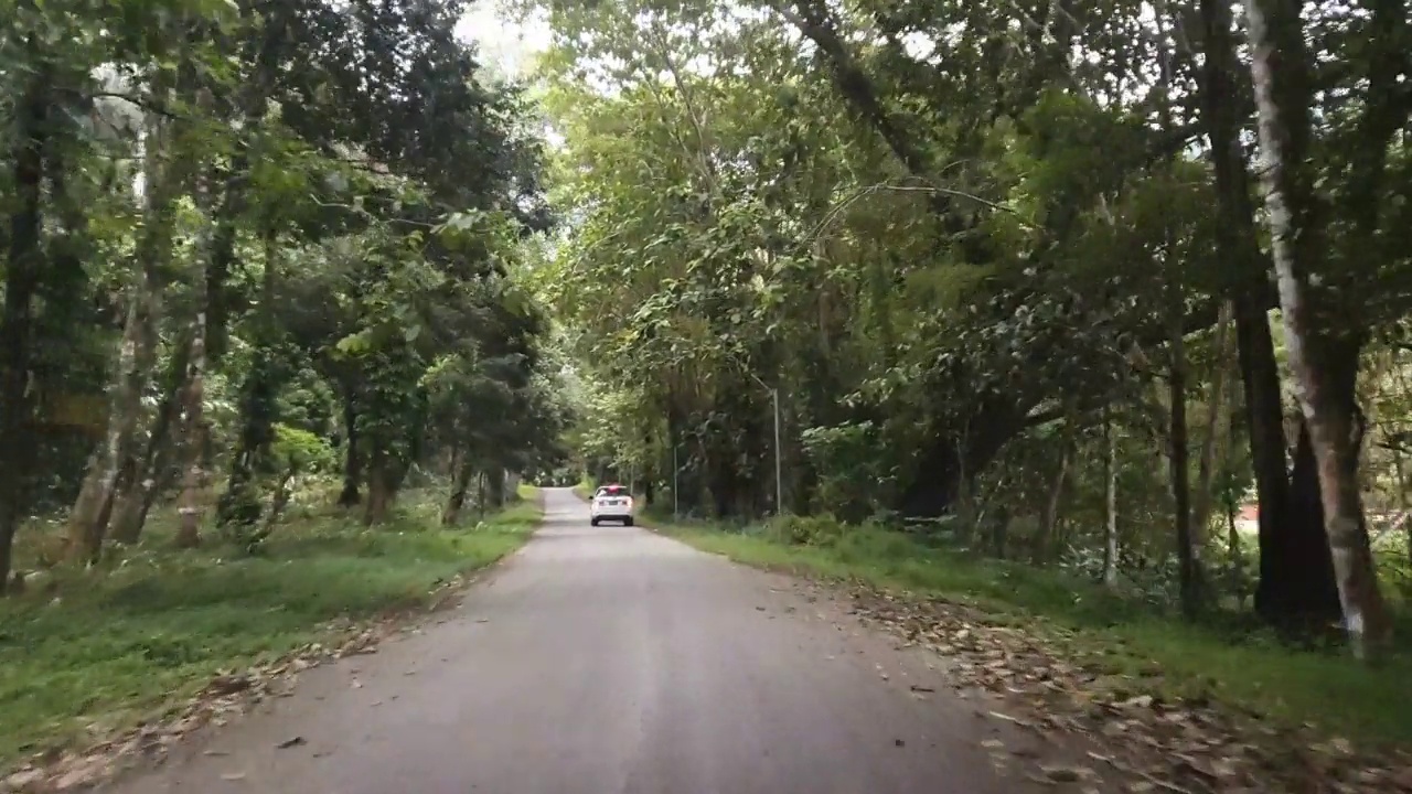 汽车的观点，驾驶在道路上通过森林视频素材