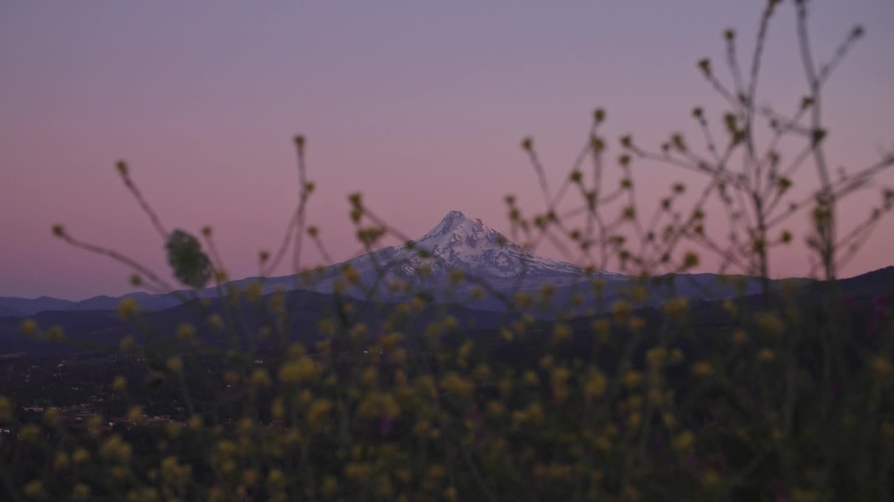 胡德山和日出的野花视频素材