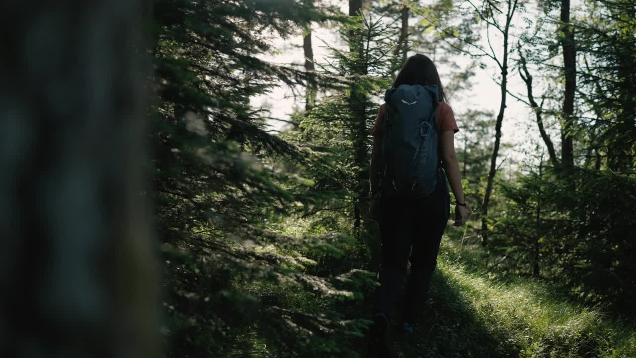 挪威女子户外徒步旅行:森林探险视频素材