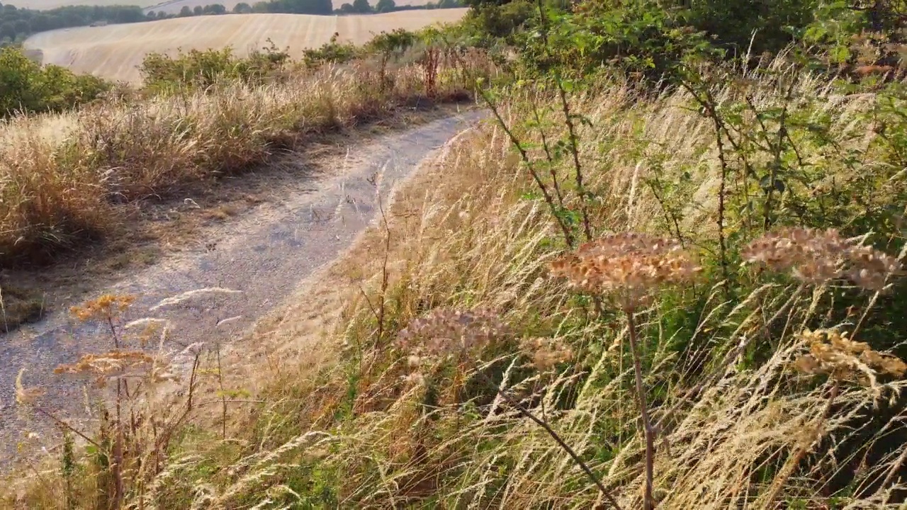 英格兰乡村景观视频素材