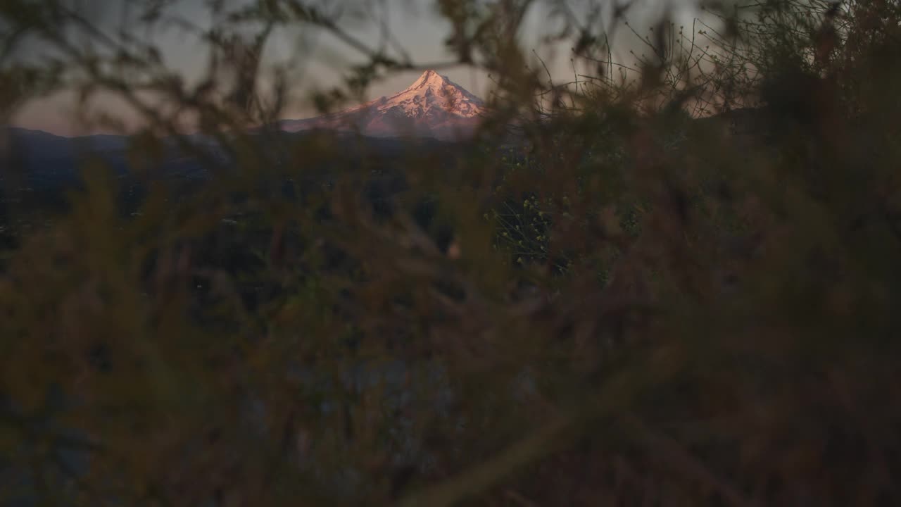 胡德山和日出的野花视频素材