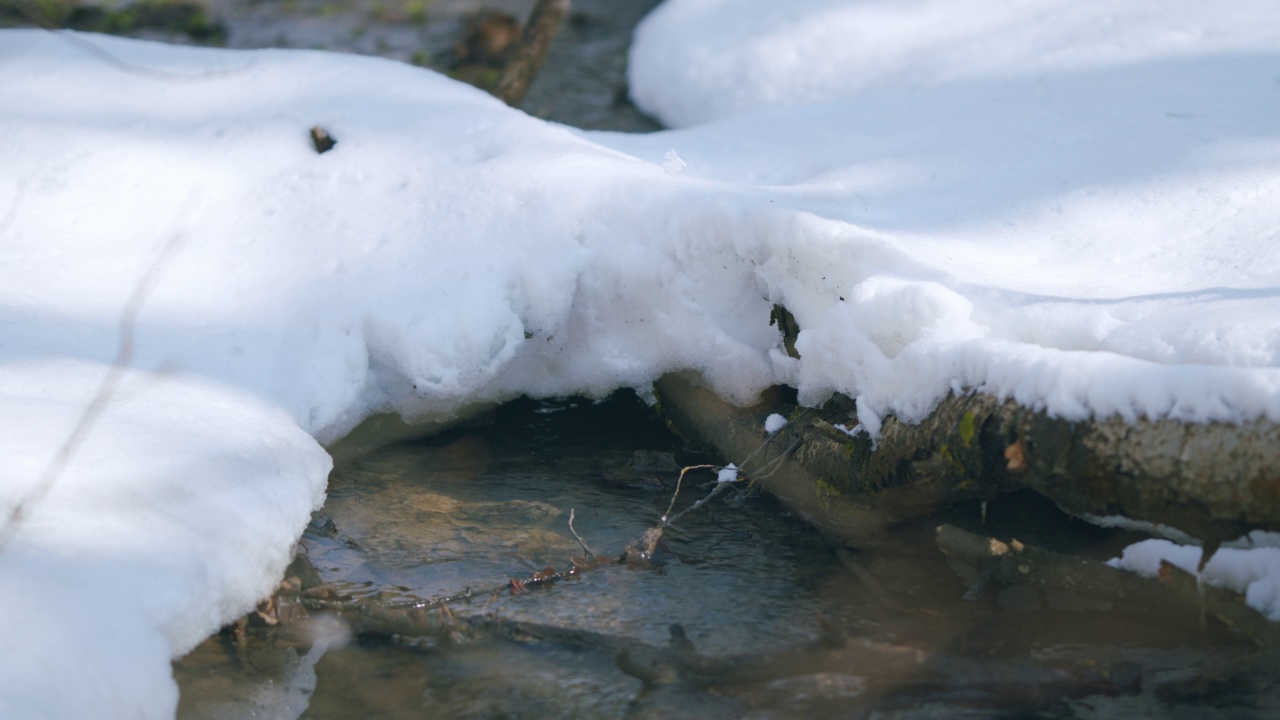 在森林中，水流随着积雪的河岸而流动。视频素材