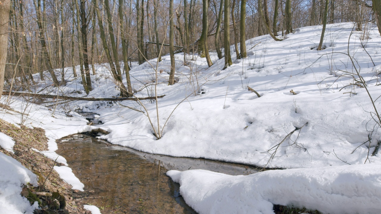 早春融化了雪，水在野生森林中形成了一条溪流。视频素材