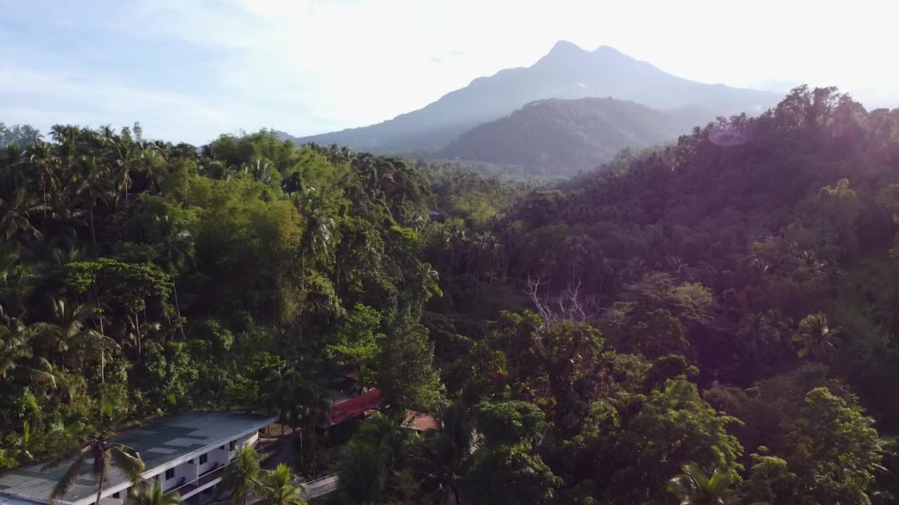 从上方特写。住宅建筑随处可见。你可以欣赏这里的植被，它们在不知不觉中相互融合，在丛林的多样性中异常丰富。在山的后面。视频素材