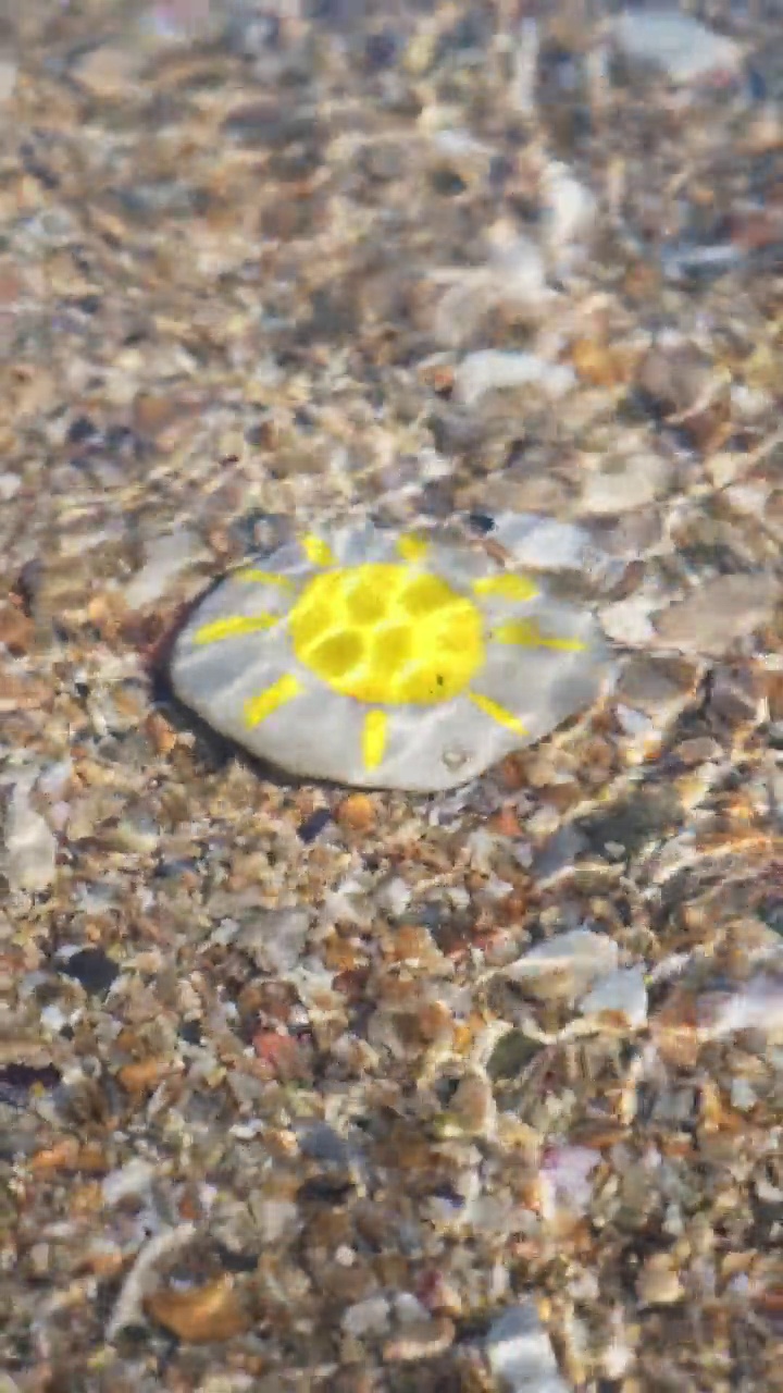 有太阳在水下的卵石视频素材