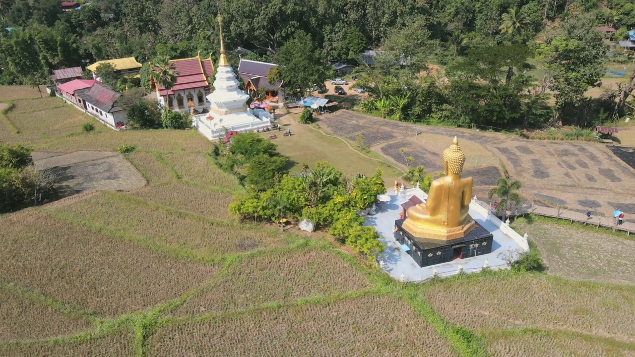 鸟瞰图大金佛像和塔在笏那虎下寺在泰国Phrae。视频素材