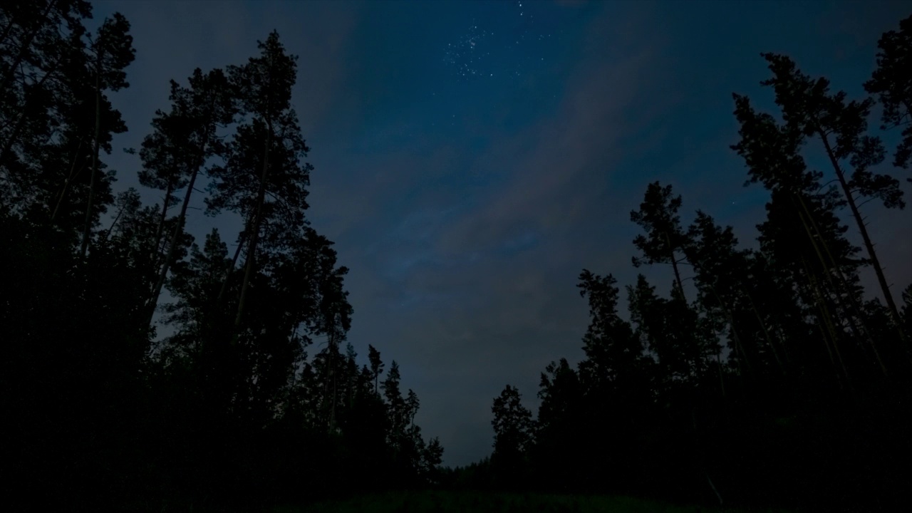 移动的云和星星在夜空中的森林的时间流逝视频素材