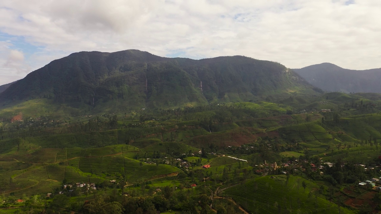 斯里兰卡山区的绿茶种植园。视频素材