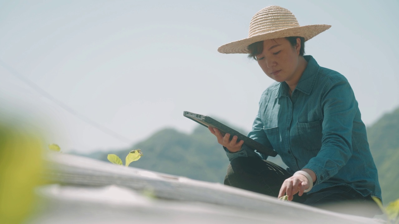 农民使用数字平板电脑和监测在她的农场，智能农场视频素材