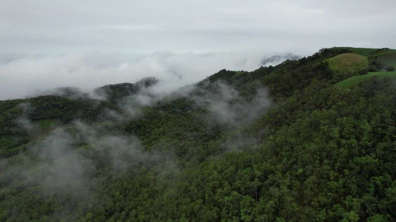 在雾天用无人机拍摄的绿色雨林和山丘的空中景观视频素材