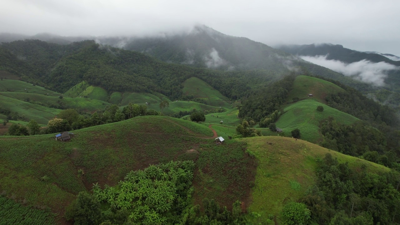 在雾天用无人机拍摄的绿色雨林和山丘的空中景观视频素材