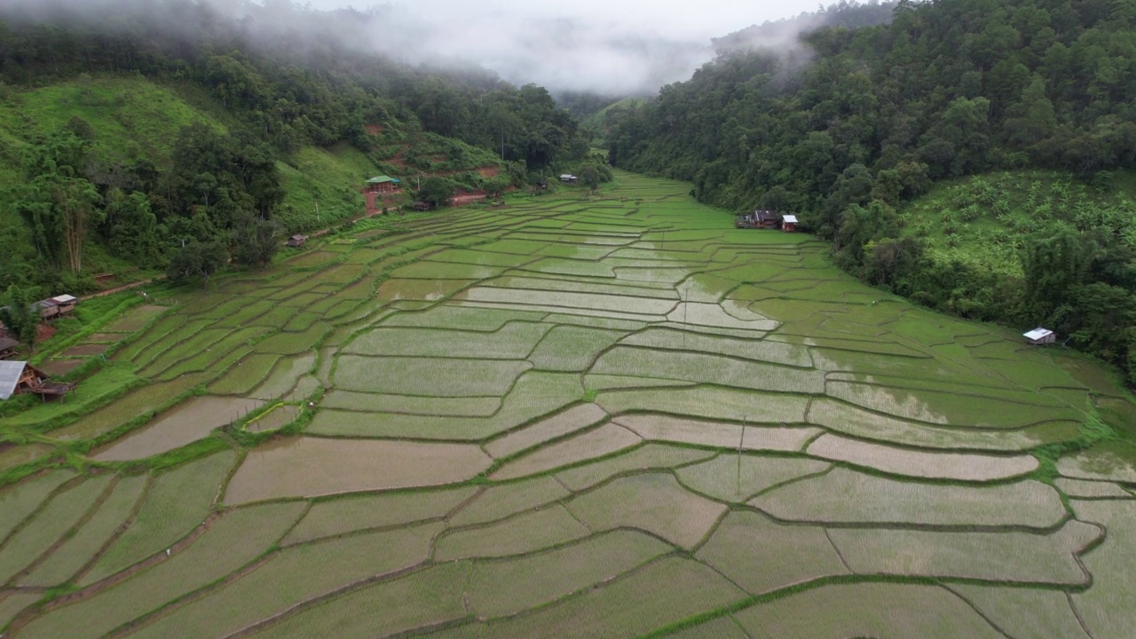 泰国北部大雾天，无人机鸟瞰梯田和山景视频素材