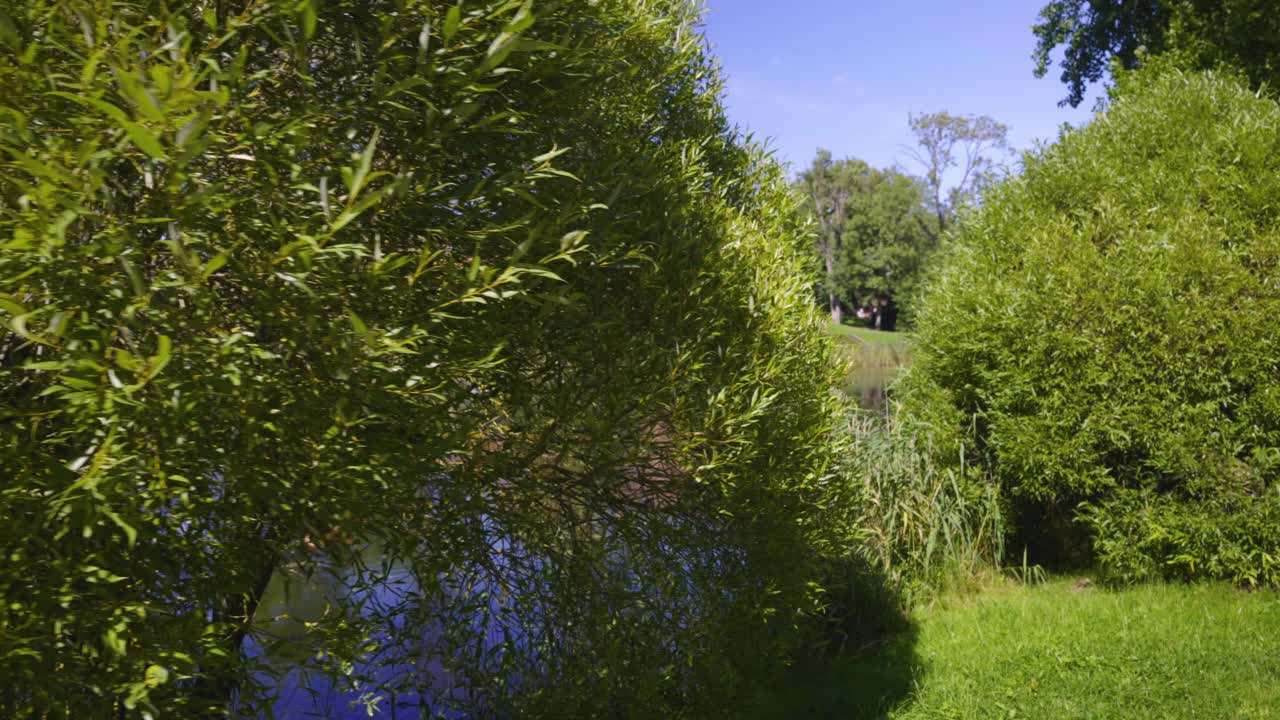 夏天公园池塘边的古堡视频素材