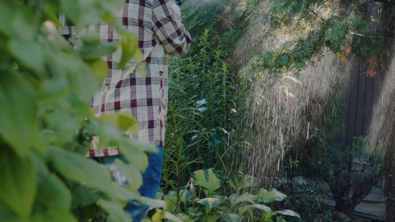 园丁在花园里给植物浇水。视频素材