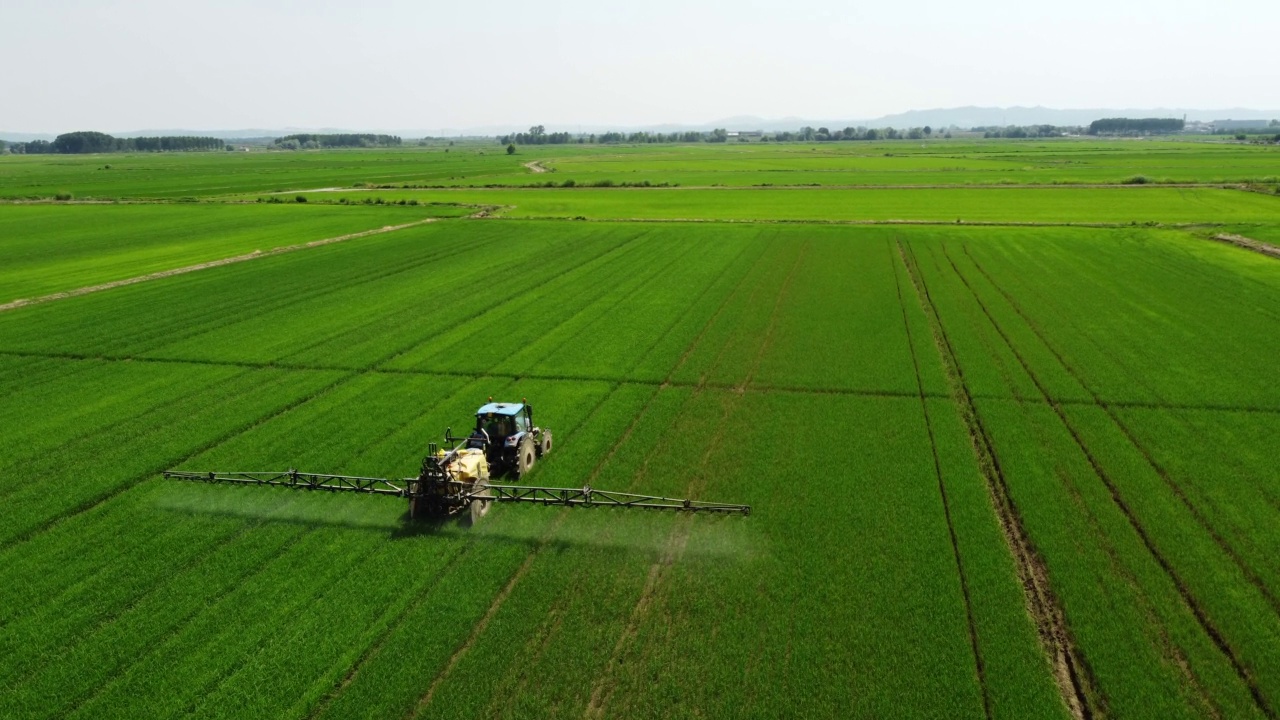 拖拉机在稻田喷洒化肥、除草剂、农药视频素材