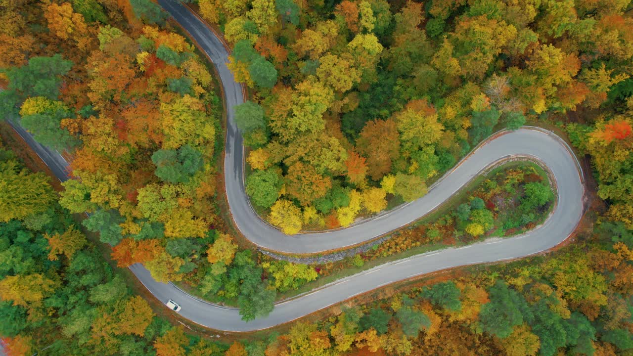 高空，从上往下:车辆行驶在蜿蜒的道路上，周围是秋天的树木视频素材