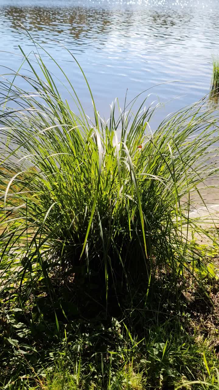 湖面反光的美丽风景视频素材