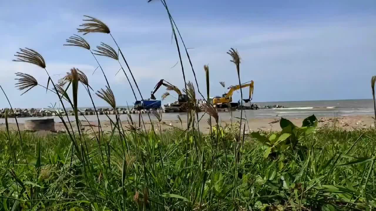 绿色的草地与防波堤项目背景在海上视频下载