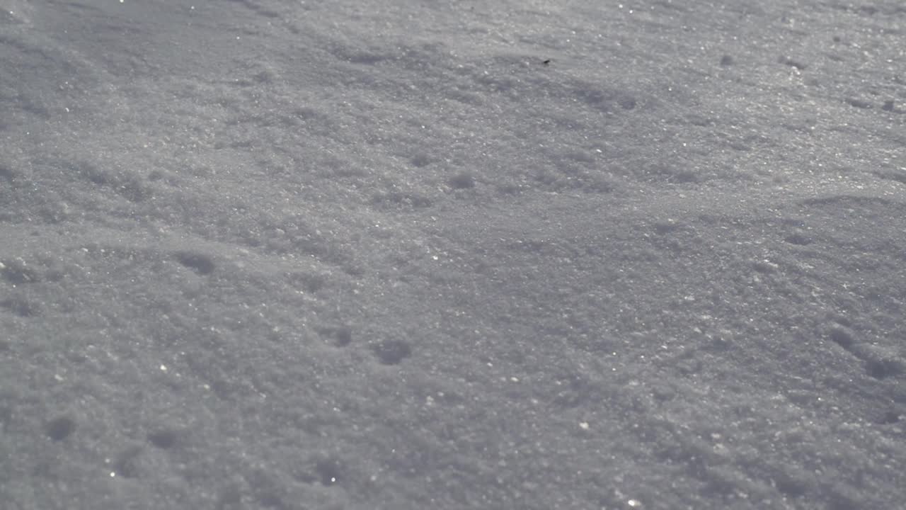 特写的人在雪地里走在黑色靴子，户外。视频素材