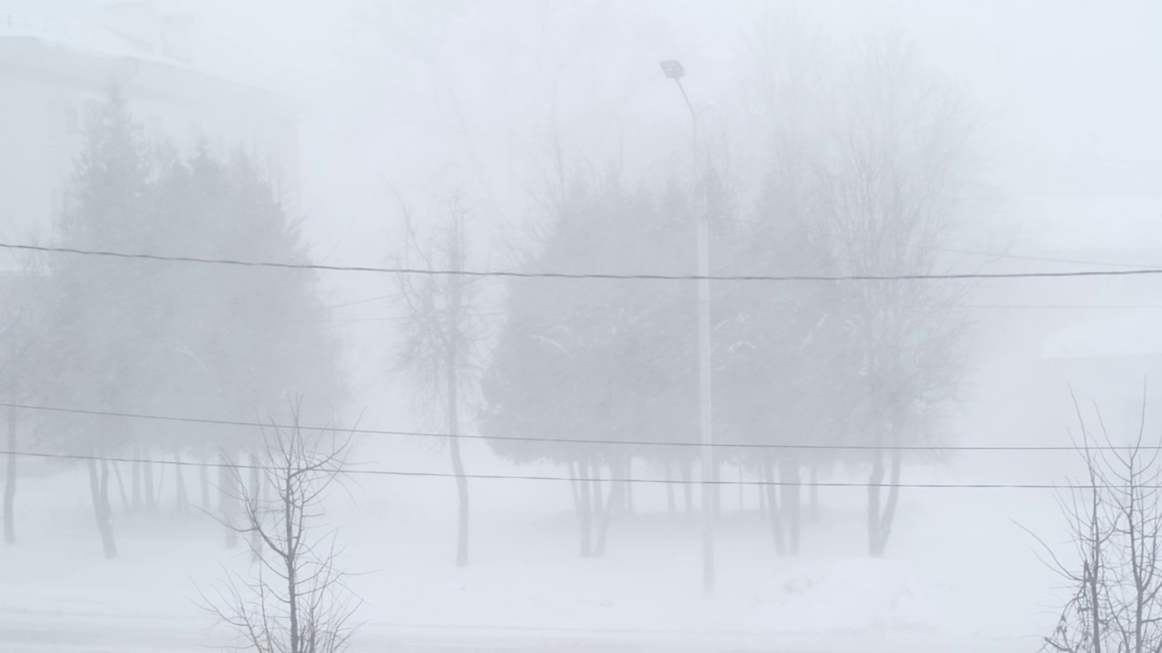 下雪，冬天的暴风雪，白天外面的暴风雪。天气寒冷，能见度低视频素材