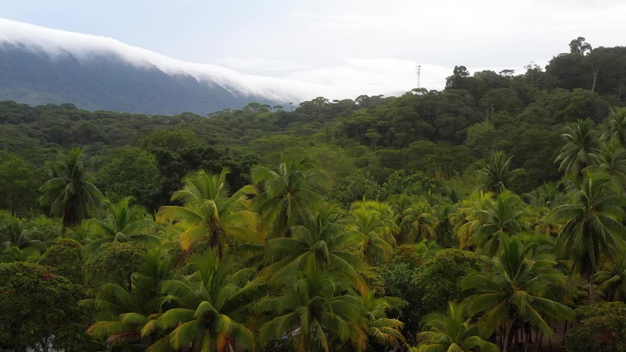 无人机从文坦萨海滩向后飞向大海。背景是棕榈树、丛林和山脉视频素材