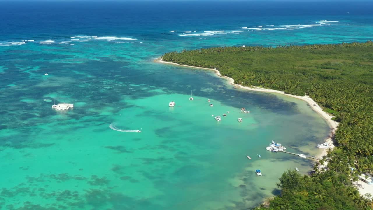 原始富饶的热带海岸线，椰子树和蓝绿色的加勒比海。美丽的旅游目的地。鸟瞰图视频素材